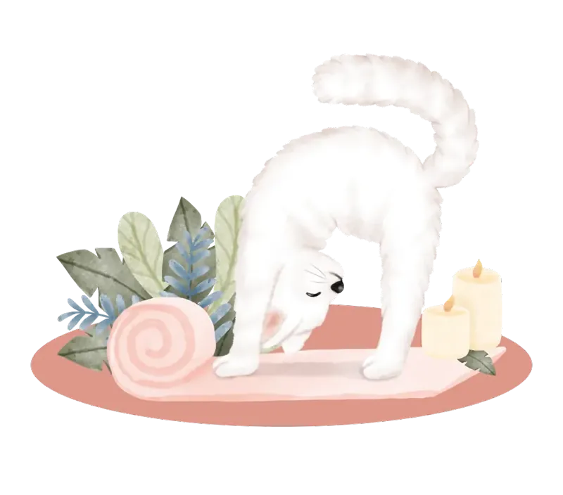Yoga poses illustration